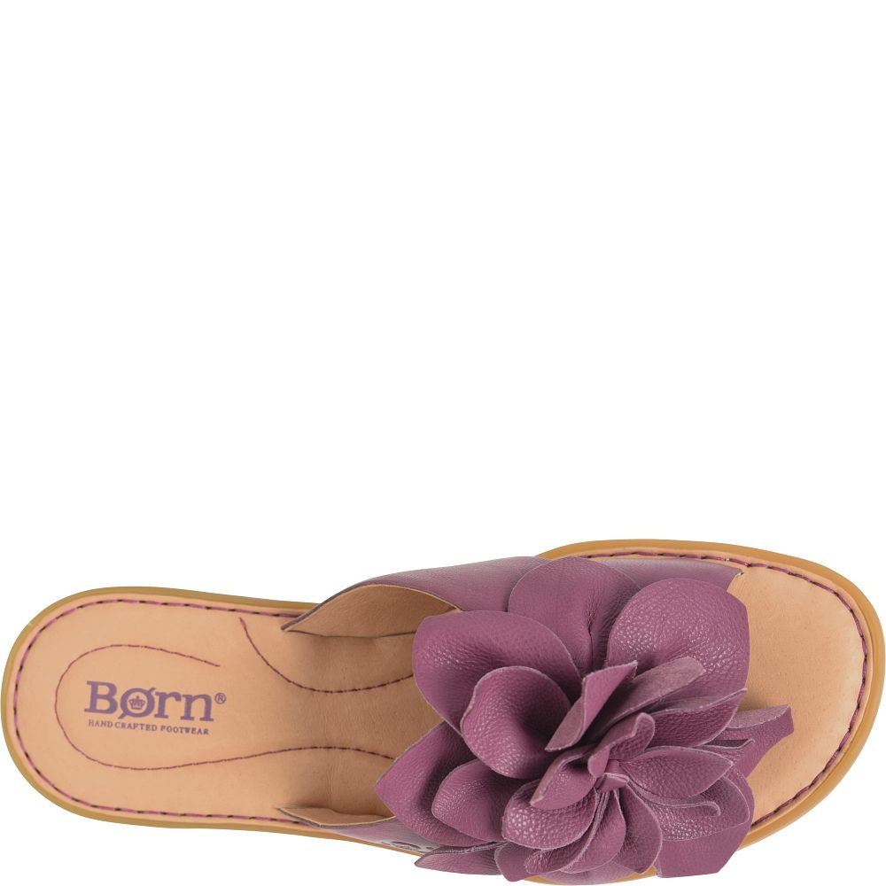 Born Ivory Sandals Purple Lavender Product ID-AMK8S2oA
