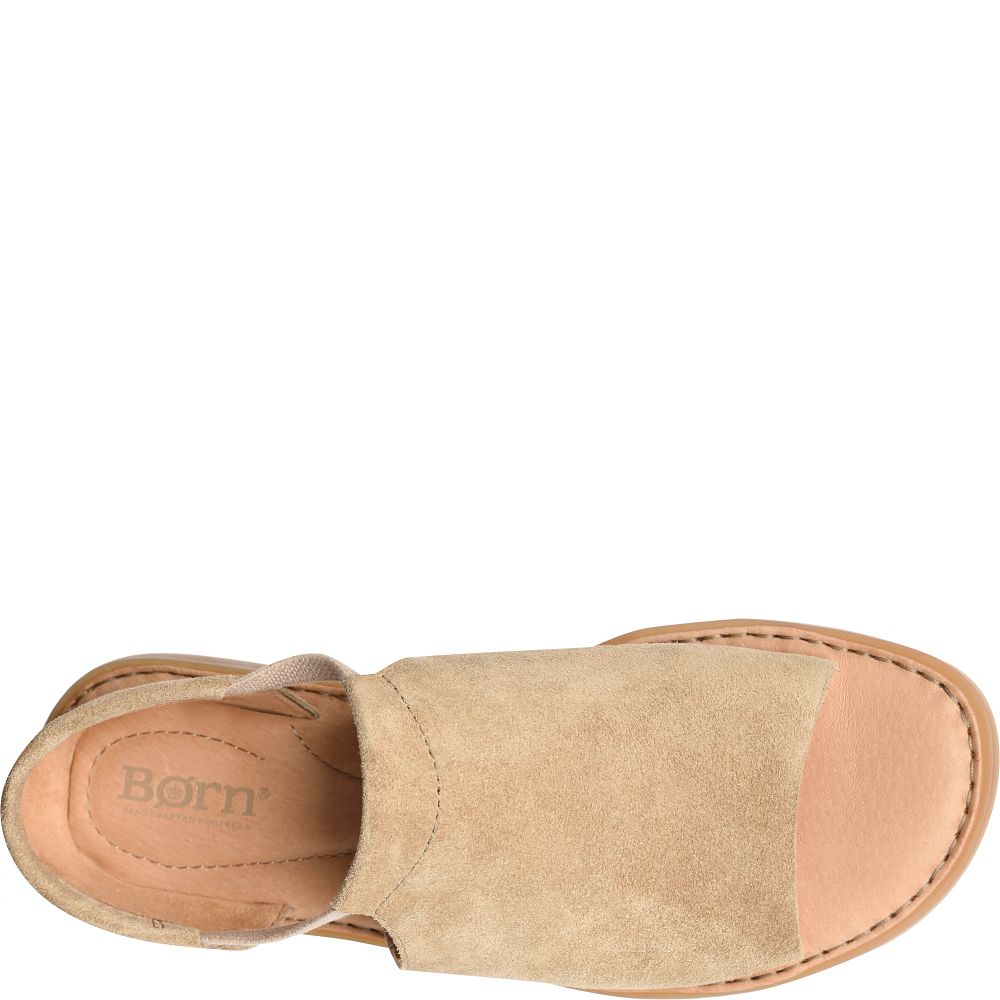 Born Cove Modern Sandals Taupe Suede Product ID-JDibD1b5