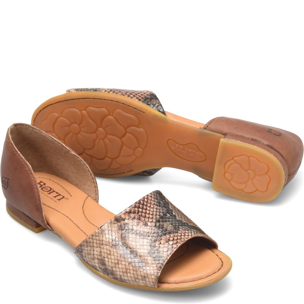 Born Escif Flats Brown Snake Combo Product ID-KeQQMdE1  Born Escif Flats Brown Snake Combo Product ID-KeQQMdE1