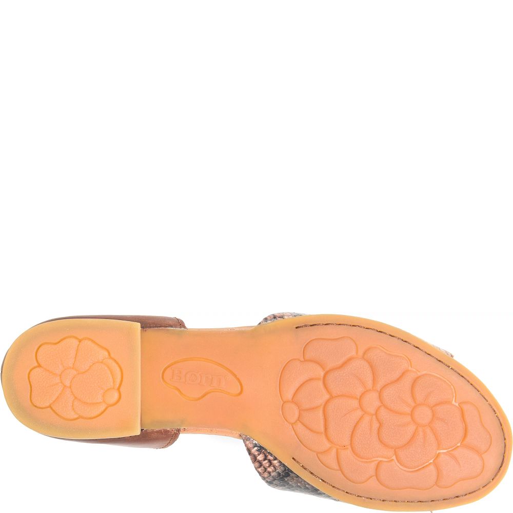 Born Escif Flats Brown Snake Combo Product ID-KeQQMdE1 Born Escif Flats Brown Snake Combo Product ID-KeQQMdE1