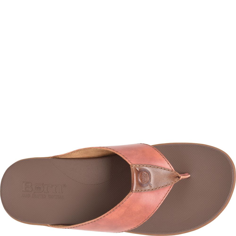 Born Gavin Sandals Orange Papaya Product ID-YmFfYrQS  Born Gavin Sandals Orange Papaya Product ID-YmFfYrQS