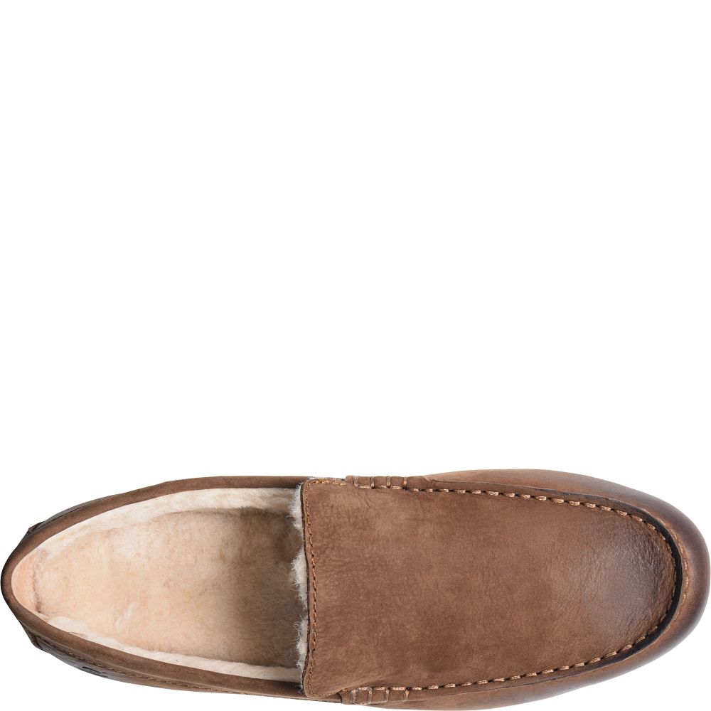 Born Allan Shearling Slippers Carafe Nubuck Product ID-k4pdbnIQ  Born Allan Shearling Slippers Carafe Nubuck Product ID-k4pdbnIQ